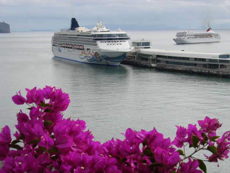 The balance of the growth is driven by Norwegian Cruise Line, with deliveries this year, plus 2014 and 2015, and an option for 2017. (photo: Sergio Ferreira - Norwegian ship in Funchal)
