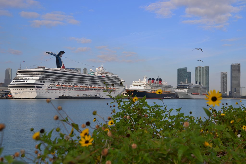 Ships in Miami (photo: Antonio Silva)