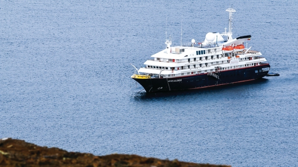 Silver Galapagos