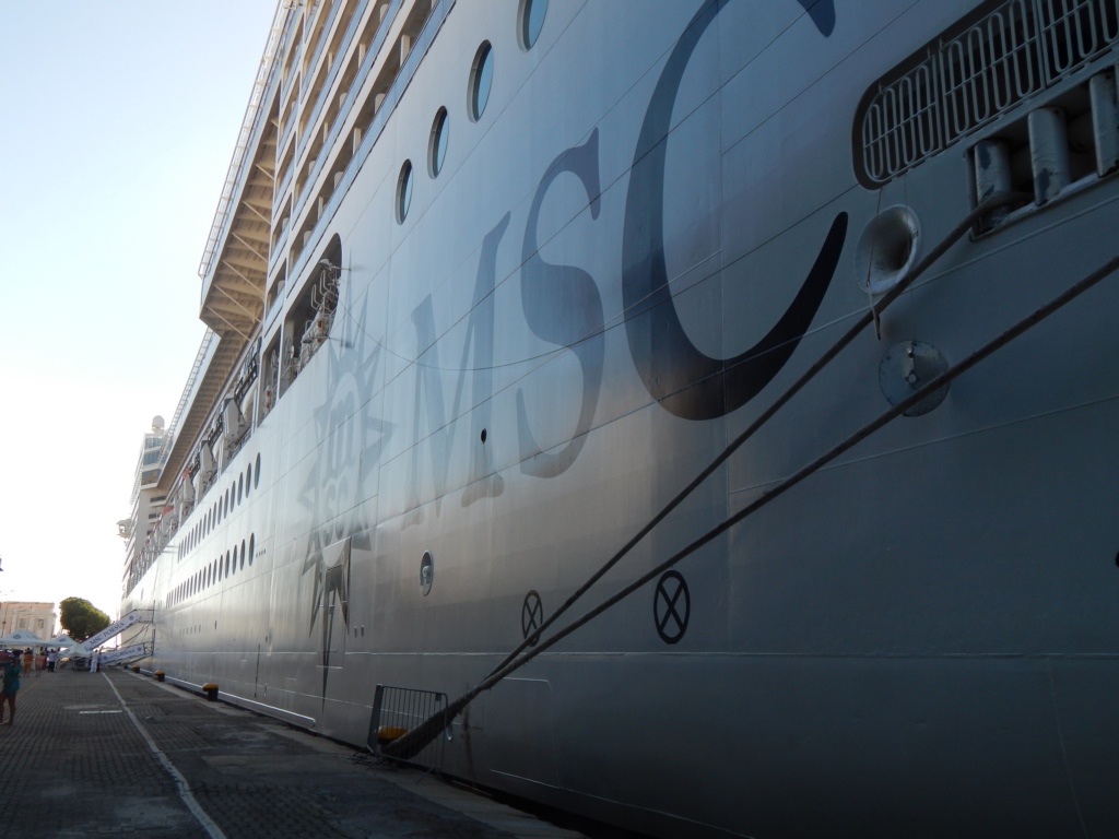 MSC Ship in Port
