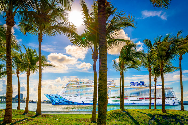 Norwegian Bliss