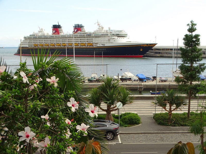 Disney Wonder (Photo: Sergio Ferreira)